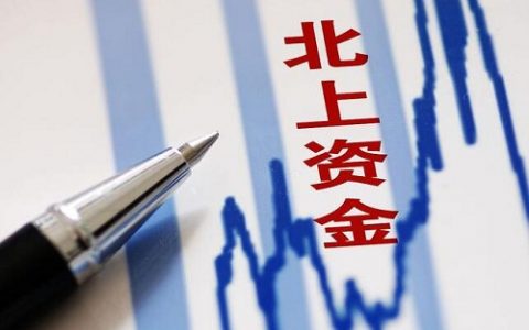 济南倍特期货青岛动态，最新消息速览