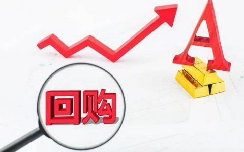 期货盈利率计算方法及净利润解析